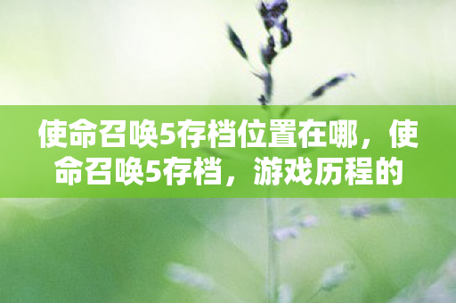 使命召唤5存档位置在哪，使命召唤5存档，游戏历程的深度留存