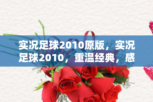 实况足球2010原版,实况足球2010,重温经典,感受足球魅力 实况足球2010原版,实况足球2010,重温经典,感受足球魅力