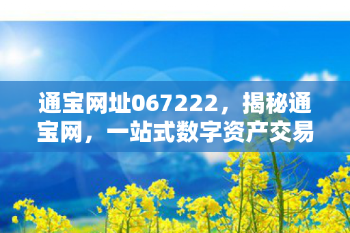 通宝网址067222，揭秘通宝网，一站式数字资产交易新纪元