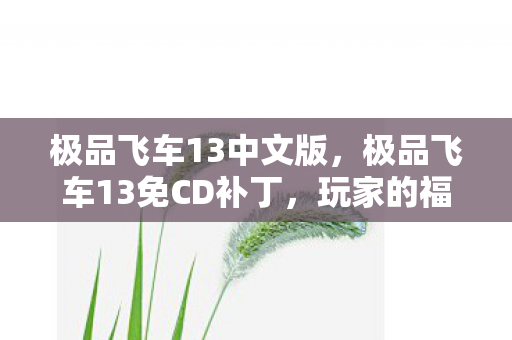 极品飞车13中文版,极品飞车13免CD补丁,玩家的福音,游戏的升级之路 极品飞车13中文版,极品飞车13免CD补丁,玩家的福音,游戏的升级之路