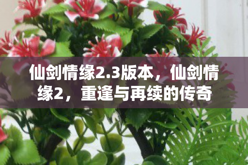 仙剑情缘2.3版本,仙剑情缘2,重逢与再续的传奇 仙剑情缘2.3版本,仙剑情缘2,重逢与再续的传奇