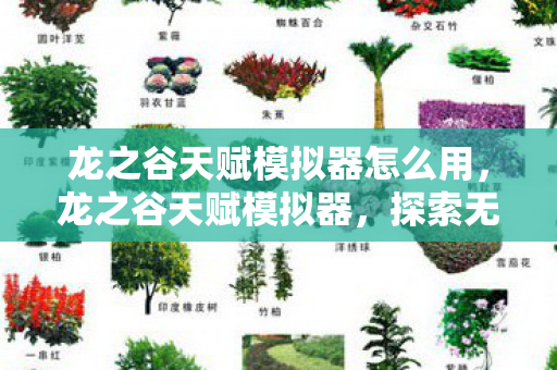 龙之谷天赋模拟器怎么用,龙之谷天赋模拟器,探索无限潜能,定制专属英雄 龙之谷天赋模拟器怎么用,龙之谷天赋模拟器,探索无限潜能,定制专属英雄