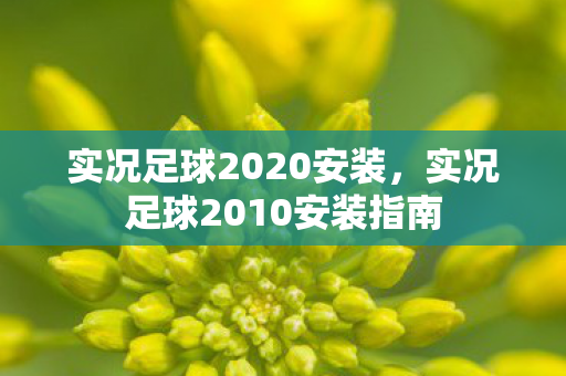 实况足球2020安装,实况足球2010安装指南 实况足球2020安装,实况足球2010安装指南