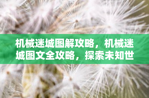 机械迷城图解攻略,机械迷城图文全攻略,探索未知世界的秘密 机械迷城图解攻略,机械迷城图文全攻略,探索未知世界的秘密