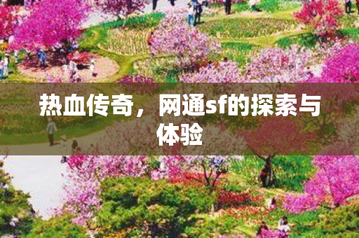热血传奇，网通sf的探索与体验