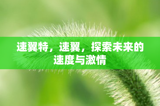 速翼特，速翼，探索未来的速度与激情