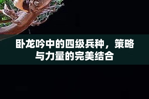 策略与力量的完美结合图片
