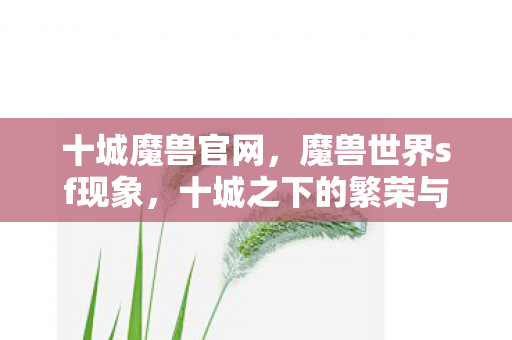 十城魔兽官网，魔兽世界sf现象，十城之下的繁荣与挑战
