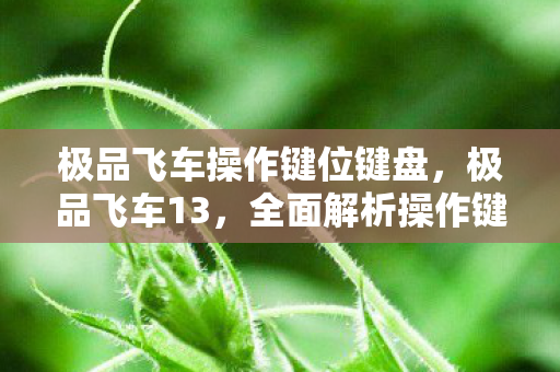 极品飞车操作键位键盘，极品飞车13，全面解析操作键