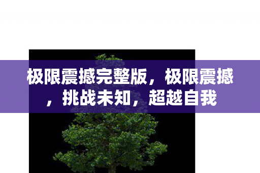 极限震撼完整版,极限震撼,挑战未知,超越自我 极限震撼完整版,极限震撼,挑战未知,超越自我