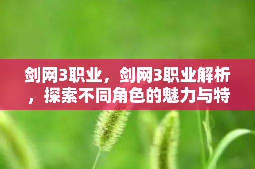 剑网3职业,剑网3职业解析,探索不同角色的魅力与特色 剑网3职业,剑网3职业解析,探索不同角色的魅力与特色
