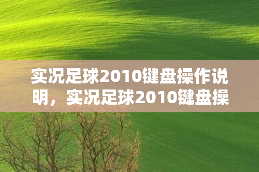 实况足球2010键盘操作说明,实况足球2010键盘操作指南 实况足球2010键盘操作说明,实况足球2010键盘操作指南