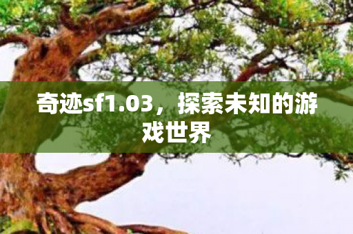 奇迹sf1.03,探索未知的游戏世界 奇迹sf1.03,探索未知的游戏世界