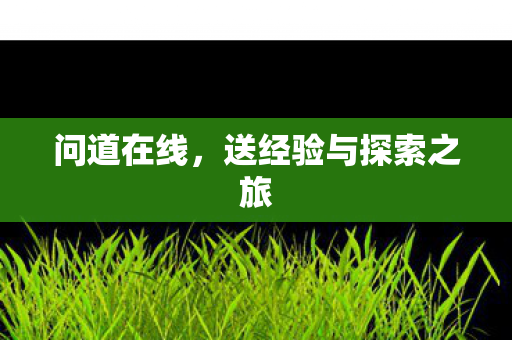送经验与探索之旅图片