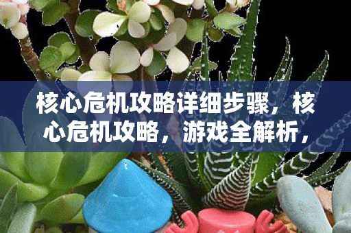 核心危机攻略详细步骤,核心危机攻略,游戏全解析,轻松通关秘籍大揭秘 核心危机攻略详细步骤,核心危机攻略,游戏全解析,轻松通关秘籍大揭秘