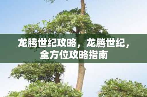龙腾世纪攻略,龙腾世纪,全方位攻略指南 龙腾世纪攻略,龙腾世纪,全方位攻略指南