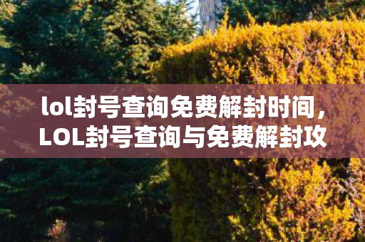 lol封号查询免费解封时间，LOL封号查询与免费解封攻略