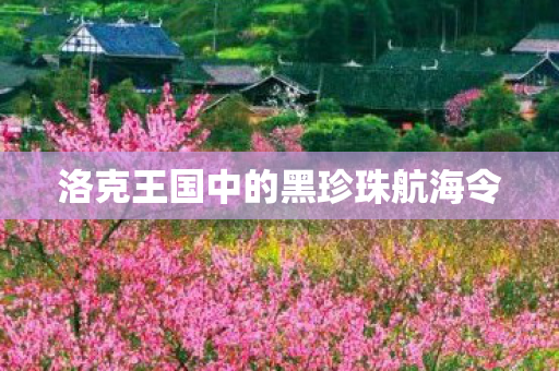 洛克王国中的黑珍珠航海令图片