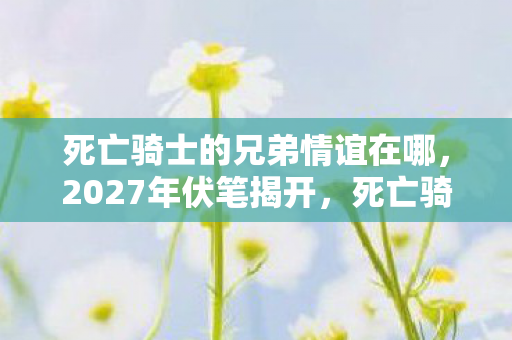 死亡骑士的兄弟情谊在哪，2027年伏笔揭开，死亡骑士兄弟情，凌晨三点鼻子一酸的约定