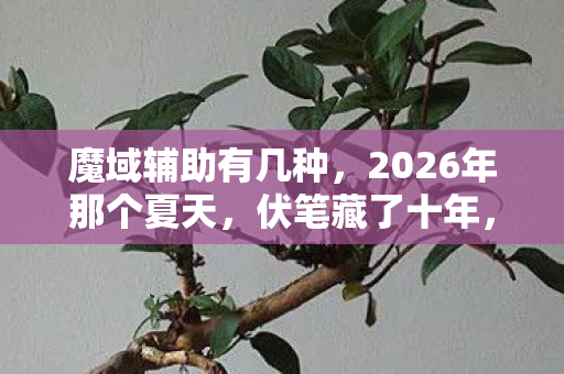 魔域辅助有几种，2026年那个夏天，伏笔藏了十年，想起你时鼻子一酸