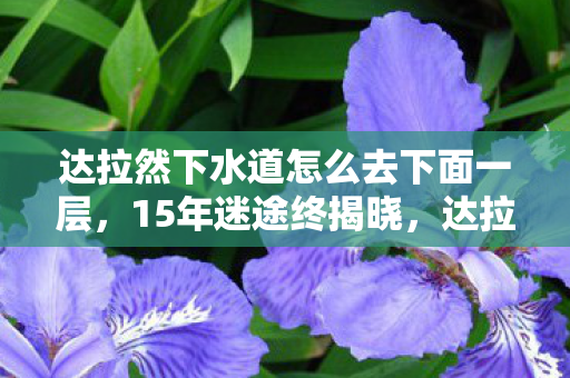 达拉然下水道怎么去下面一层,15年迷途终揭晓,达拉然下水道之谜竟成关服前最后泪目 达拉然下水道怎么去下面一层,15年迷途终揭晓,达拉然下水道之谜竟成关服前最后泪目