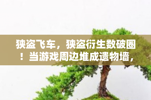 狭盗飞车,狭盗衍生数破圈!当游戏周边堆成遗物墙,败家玩家竟用联名款当遗像? 狭盗飞车,狭盗衍生数破圈!当游戏周边堆成遗物墙,败家玩家竟用联名款当遗像?