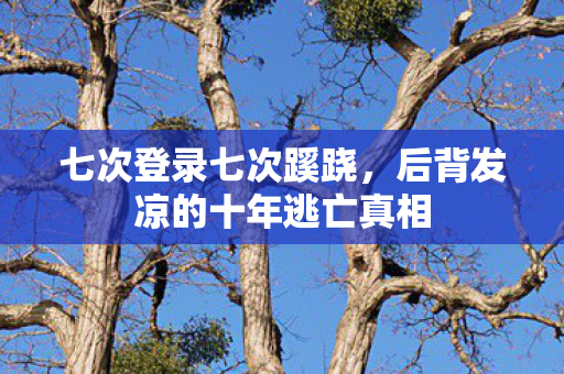 七次登录七次蹊跷,后背发凉的十年逃亡真相 七次登录七次蹊跷,后背发凉的十年逃亡真相