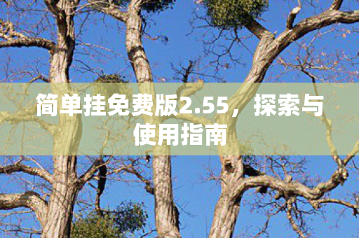 简单挂免费版2图片