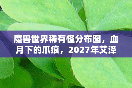 魔兽世界稀有怪分布图，血月下的爪痕，2027年艾泽拉斯连环失踪案，谁在暗处编织死亡之网？