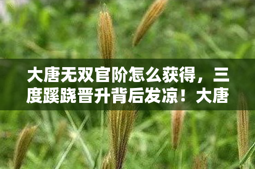 大唐无双官阶怎么获得，三度蹊跷晋升背后发凉！大唐无双官阶暗藏何等惊天玄机？