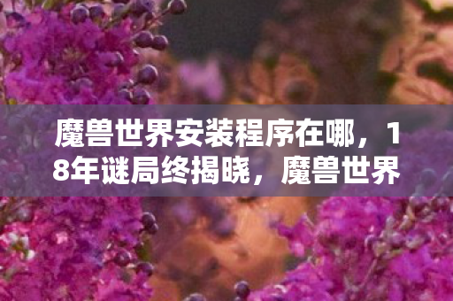 魔兽世界安装程序在哪，18年谜局终揭晓，魔兽世界安装程序背后的泪目史诗