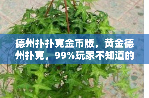 德州扑扑克金币版,黄金德州扑克,99%玩家不知道的3大猫腻,氪金上头到想摔手机! 德州扑扑克金币版,黄金德州扑克,99%玩家不知道的3大猫腻,氪金上头到想摔手机!