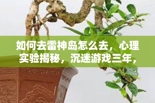 如何去雷神岛怎么去,心理实验揭秘,沉迷游戏三年,细思极恐的再来一局陷阱 如何去雷神岛怎么去,心理实验揭秘,沉迷游戏三年,细思极恐的再来一局陷阱