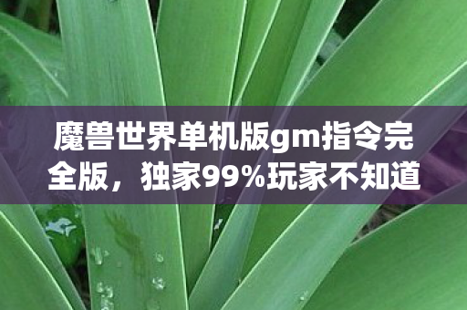 魔兽世界单机版gm指令完全版,独家99%玩家不知道的GM权限!凌晨3点,我亲手复活了消失的艾泽拉斯 魔兽世界单机版gm指令完全版,独家99%玩家不知道的GM权限!凌晨3点,我亲手复活了消失的艾泽拉斯