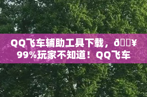 QQ飞车辅助工具下载，🔥99%玩家不知道！QQ飞车辅助新体验，爽到飞起的心得！