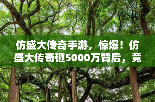 仿盛大传奇手游,惊爆!仿盛大传奇砸5000万背后,竟藏着让玩家吓一跳的隐情! 仿盛大传奇手游,惊爆!仿盛大传奇砸5000万背后,竟藏着让玩家吓一跳的隐情!