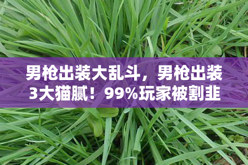 男枪出装大乱斗，男枪出装3大猫腻！99%玩家被割韭菜还喊真香？