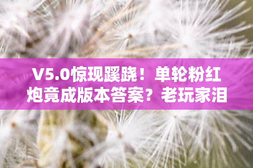 V5.0惊现蹊跷!单轮粉红炮竟成版本答案?老玩家泪目了 V5.0惊现蹊跷!单轮粉红炮竟成版本答案?老玩家泪目了