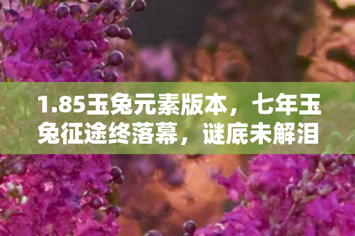 1.85玉兔元素版本，七年玉兔征途终落幕，谜底未解泪目谢幕时