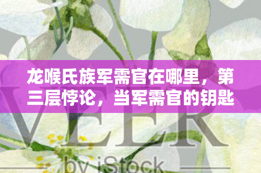 龙喉氏族军需官在哪里,第三层悖论,当军需官的钥匙同时开启枷锁与自由之门 龙喉氏族军需官在哪里,第三层悖论,当军需官的钥匙同时开启枷锁与自由之门