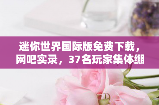 迷你世界国际版免费下载，网吧实录，37名玩家集体绷不住！迷你世界国际版疑云背后竟是……