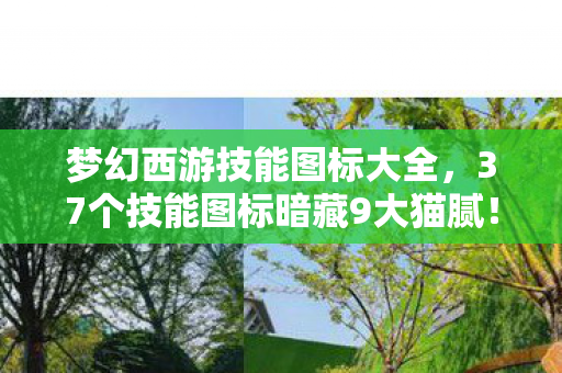 梦幻西游技能图标大全,37个技能图标暗藏9大猫腻!这波创新让我氪到上头又上火 梦幻西游技能图标大全,37个技能图标暗藏9大猫腻!这波创新让我氪到上头又上火