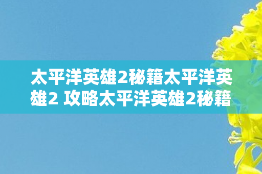 太平洋英雄2秘籍太平洋英雄2 攻略太平洋英雄2秘籍图片