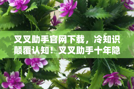 叉叉助手官网下载,冷知识颠覆认知!叉叉助手十年隐藏彩蛋,让我目瞪口呆! 叉叉助手官网下载,冷知识颠覆认知!叉叉助手十年隐藏彩蛋,让我目瞪口呆!