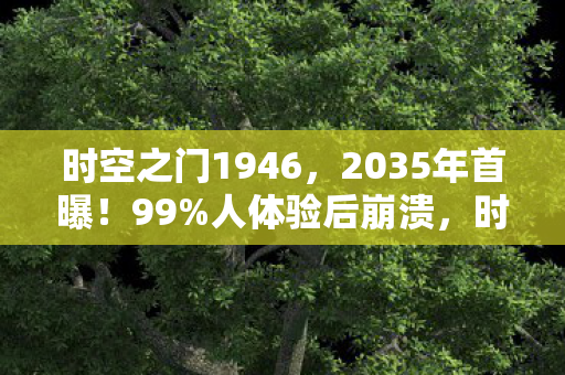 时空之门1946,2035年首曝!99%人体验后崩溃,时空之门藏着什么致命真相? 时空之门1946,2035年首曝!99%人体验后崩溃,时空之门藏着什么致命真相?