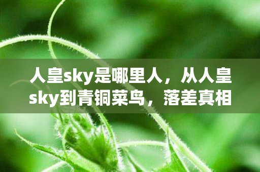 人皇sky是哪里人,从人皇sky到青铜菜鸟,落差真相揭晓,笑着笑着就哭了 人皇sky是哪里人,从人皇sky到青铜菜鸟,落差真相揭晓,笑着笑着就哭了