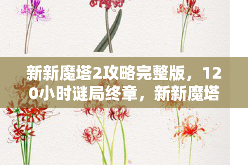 新新魔塔2攻略完整版，120小时谜局终章，新新魔塔2通关者验尸报告与未解之谜的泪目真相