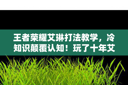 王者荣耀艾琳打法教学,冷知识颠覆认知!玩了十年艾琳的我,竟目瞪口呆发现…… 王者荣耀艾琳打法教学,冷知识颠覆认知!玩了十年艾琳的我,竟目瞪口呆发现……