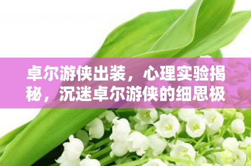 卓尔游侠出装,心理实验揭秘,沉迷卓尔游侠的细思极恐自我麻醉之旅 卓尔游侠出装,心理实验揭秘,沉迷卓尔游侠的细思极恐自我麻醉之旅