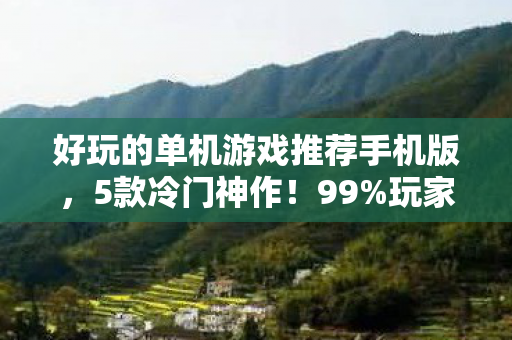 好玩的单机游戏推荐手机版，5款冷门神作！99%玩家没通关的单机游戏，第3款让人彻夜难眠！